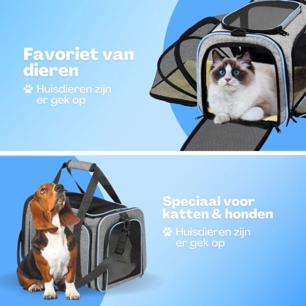 BPS® BPS-5638M Transporttas voor huisdieren, honden, katten, dieren, 3  maten S/M/L naar keuze (S, bruin) : : Huisdierbenodigdheden